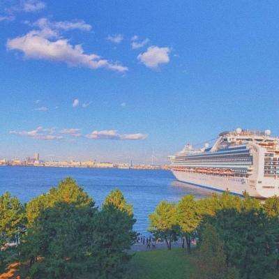 赏金女王官网正版下载