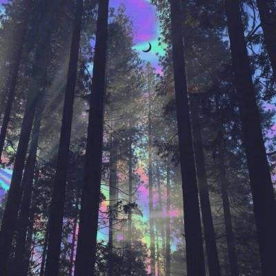 澳门2023全年免费资料大全下载手机版