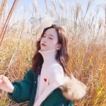 乐鱼娱乐appapp下载截图